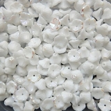 30 Stück - Trichterblüten chalk white AB